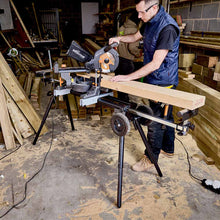 Pachet fierastrau circular stationar multifunctional Evolution R255SMS+ 255mm + stand XL