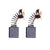 Perii de carbon Evolution R255SMS / R255SMS+ (1 pereche)